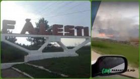Incendiu PUTERNIC la intrarea în Fălești. Fumul a acoperit o parte din oraș